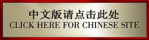 Chinese Version