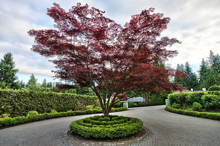 West Vancouver Homes