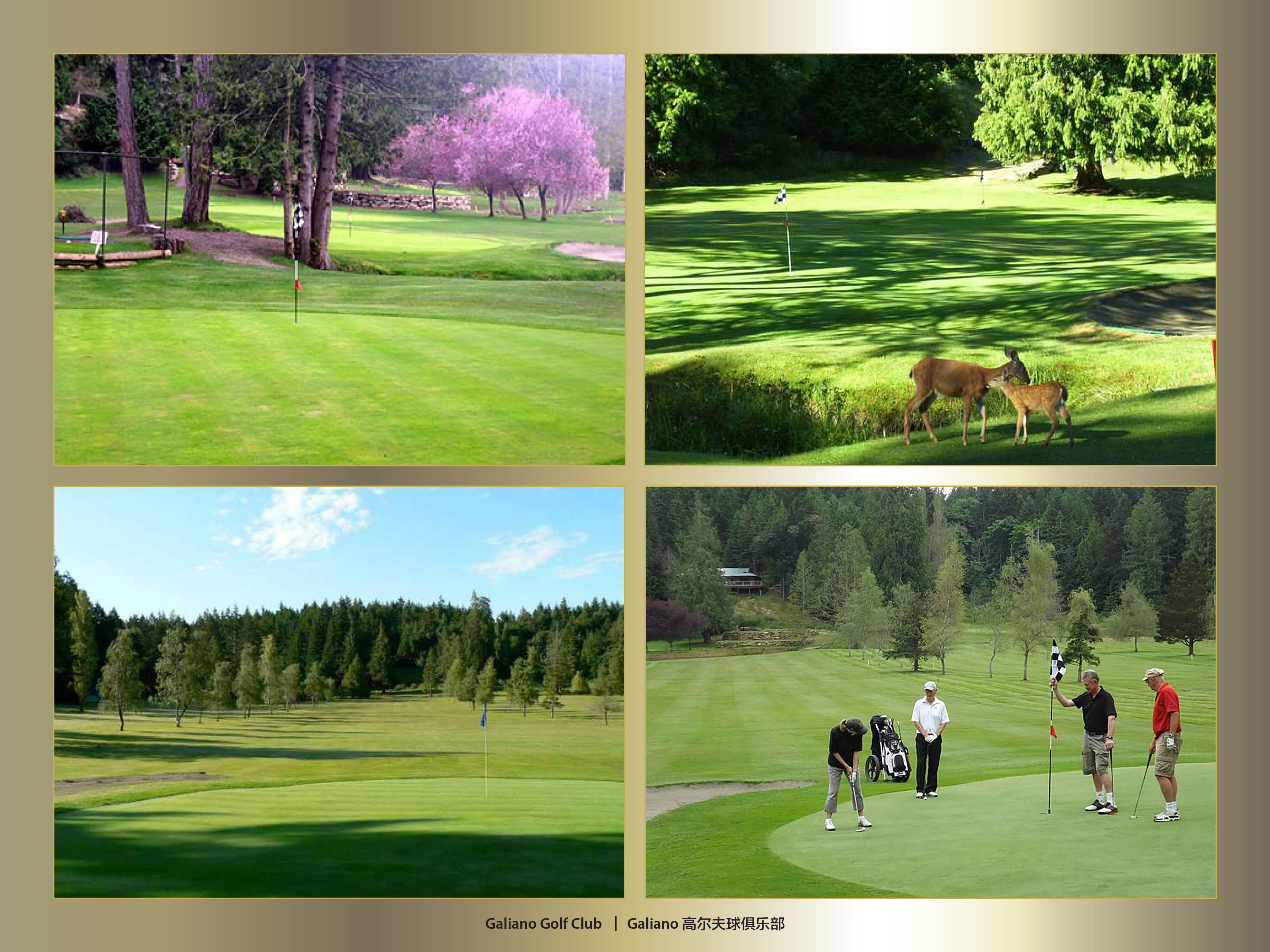 West Vancouver Realtors