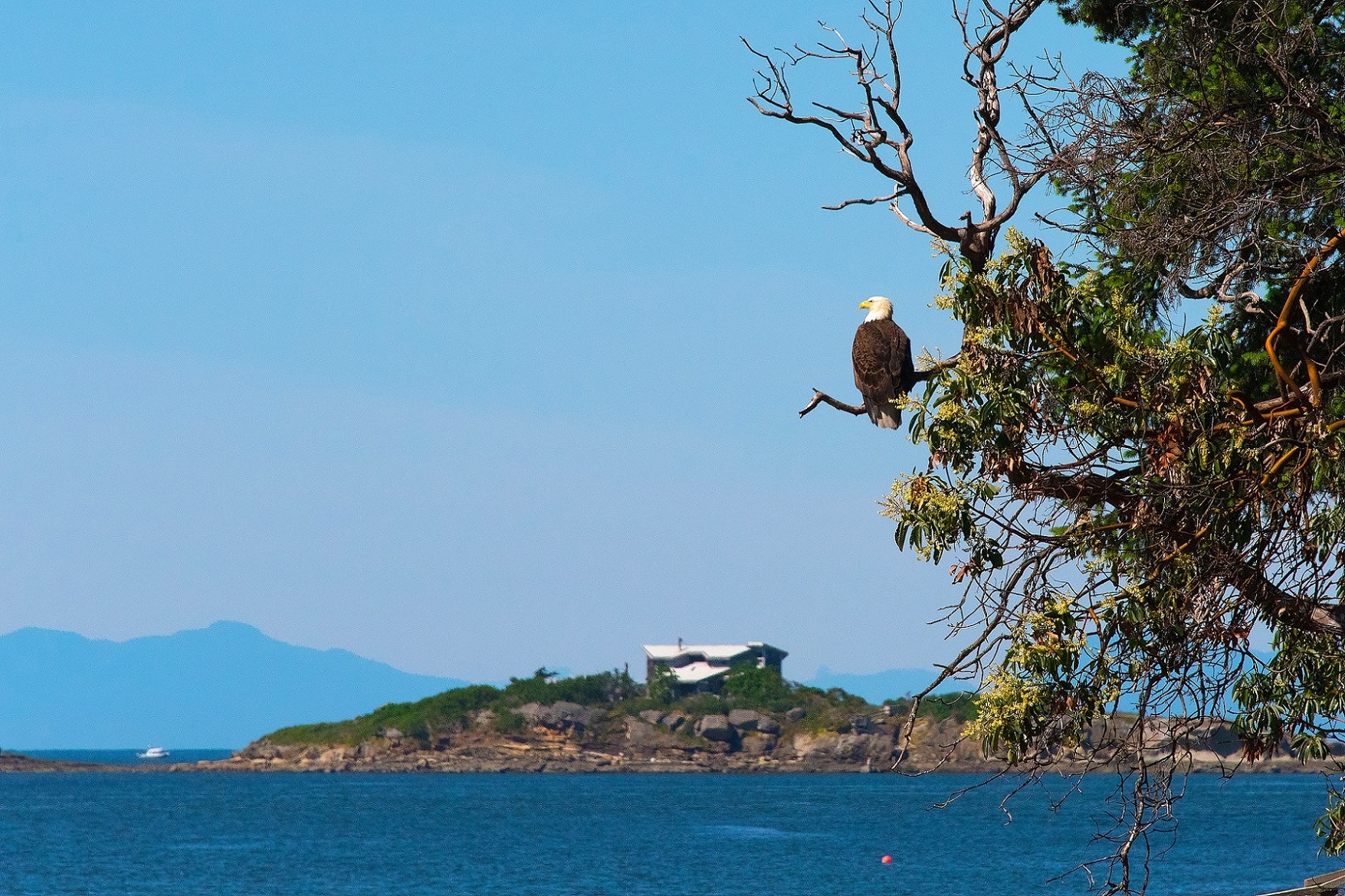 West Vancouver Realtors