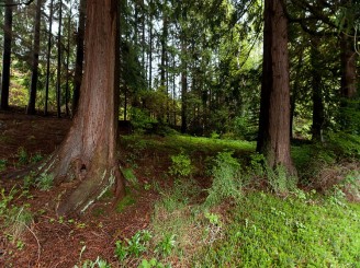 West Vancouver Luxury Homes