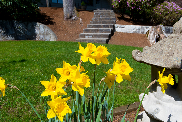 West Vancouver Homes for Sale