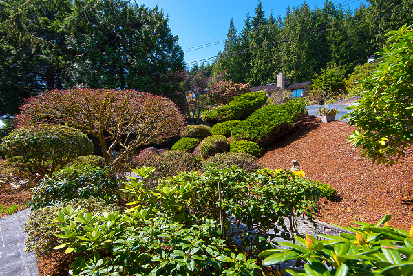 West Vancouver Luxury Homes