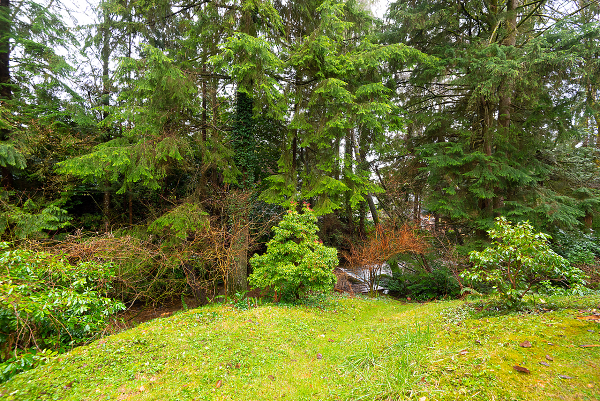 West Vancouver Water Front Homes