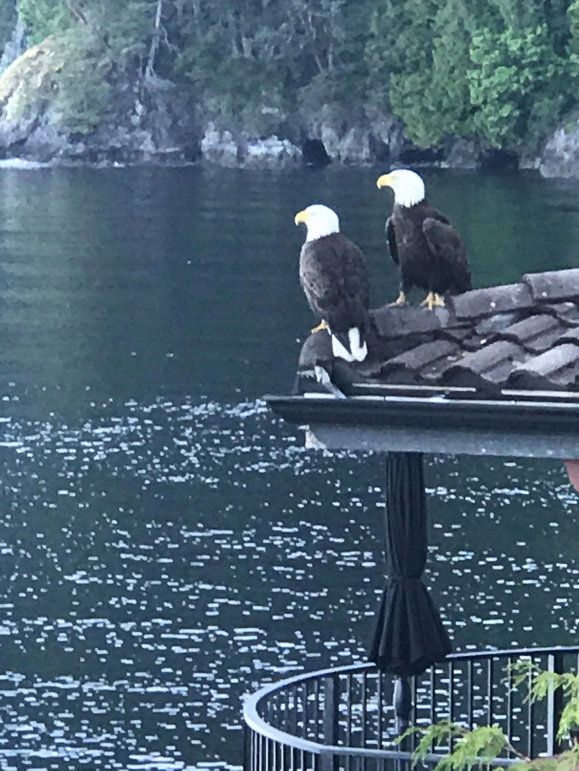 West Vancouver Homes for Sale 6 Strachan Point Road, Howe Sound, West