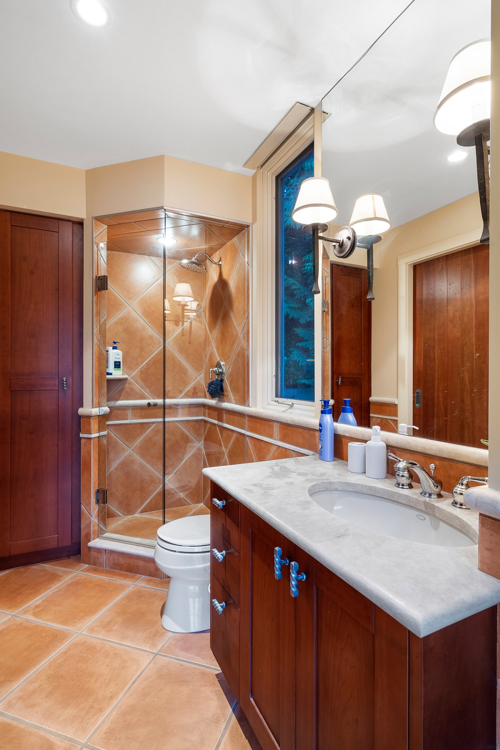 West Vancouver Homes for Sale