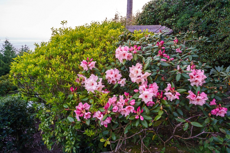 West Vancouver Homes for Sale