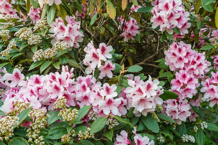 West Vancouver Real Estate