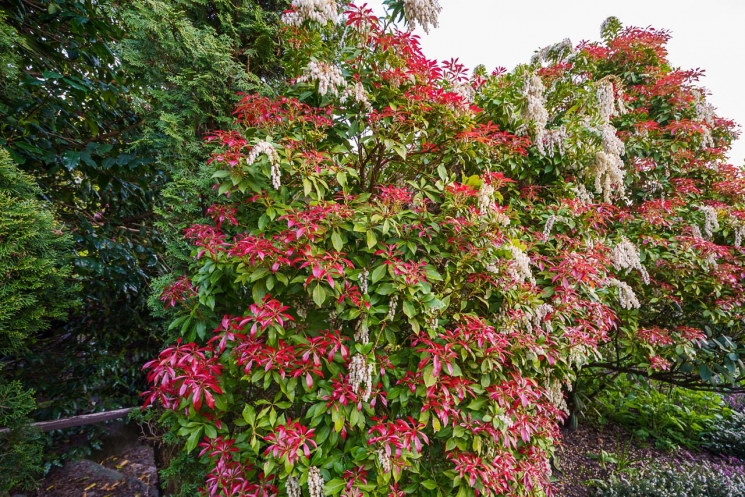 West Vancouver Real Estate