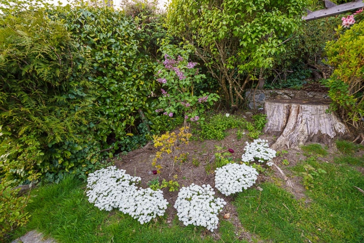 West Vancouver Homes