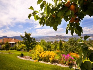 West Vancouver Homes