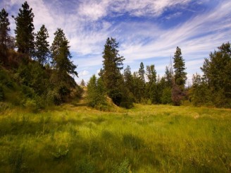 West Vancouver Luxury Homes